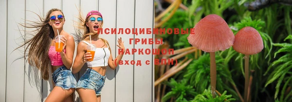 эйфоретик Медвежьегорск