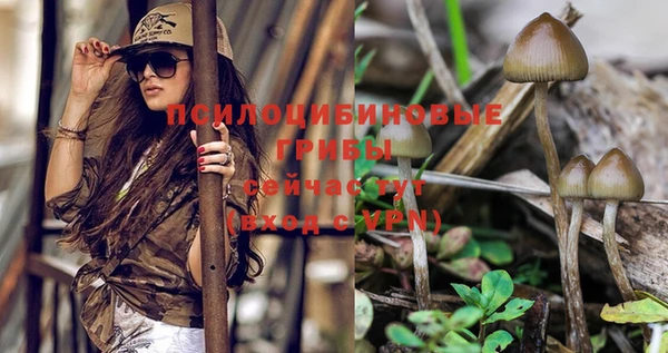 бошки Мегион